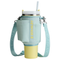 Swatch for Stanley 1913 The All Day 40 OZ Quencher Carry-All in Mist | Front View