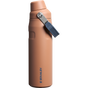 Swatch for Stanley 1913 IceFlow™ Bottle with Fast Flow Lid 24 OZ in Toast | Front View